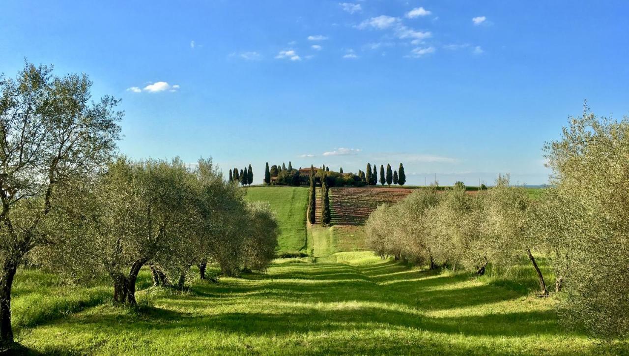 Residenza D'Epoca La Rosa Appartement Pienza Buitenkant foto