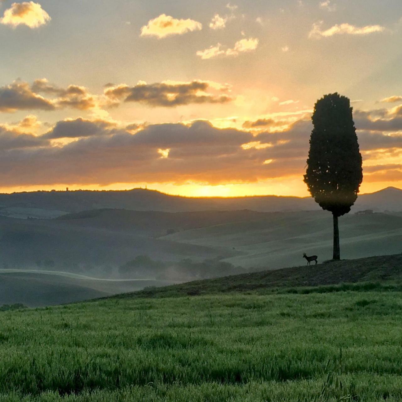 Residenza D'Epoca La Rosa Appartement Pienza Buitenkant foto